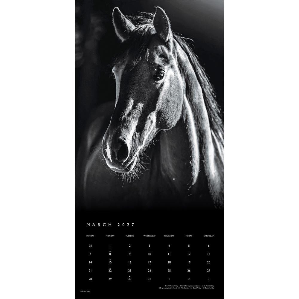 The BrownTrout Portrait Series: The Noble Horse | 2027 12 x 24 Inch (Hanging) Monthly Square Wall Calendar