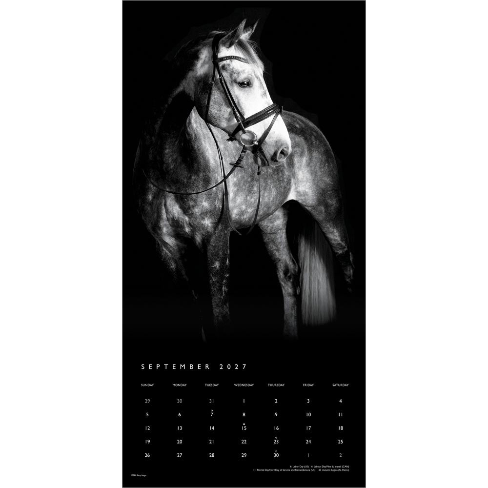 The BrownTrout Portrait Series: The Noble Horse | 2027 12 x 24 Inch (Hanging) Monthly Square Wall Calendar