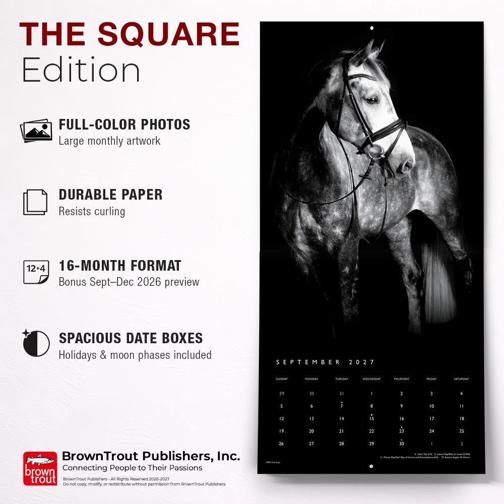 The BrownTrout Portrait Series: The Noble Horse | 2027 12 x 24 Inch (Hanging) Monthly Square Wall Calendar