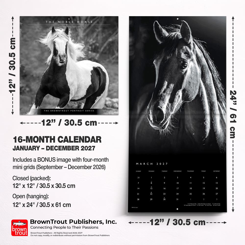 The BrownTrout Portrait Series: The Noble Horse | 2027 12 x 24 Inch (Hanging) Monthly Square Wall Calendar