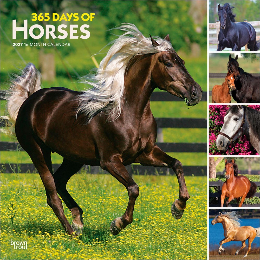 365 Days of Horses | 2027 12 x 24 Inch (Hanging) Monthly Square Wall Calendar