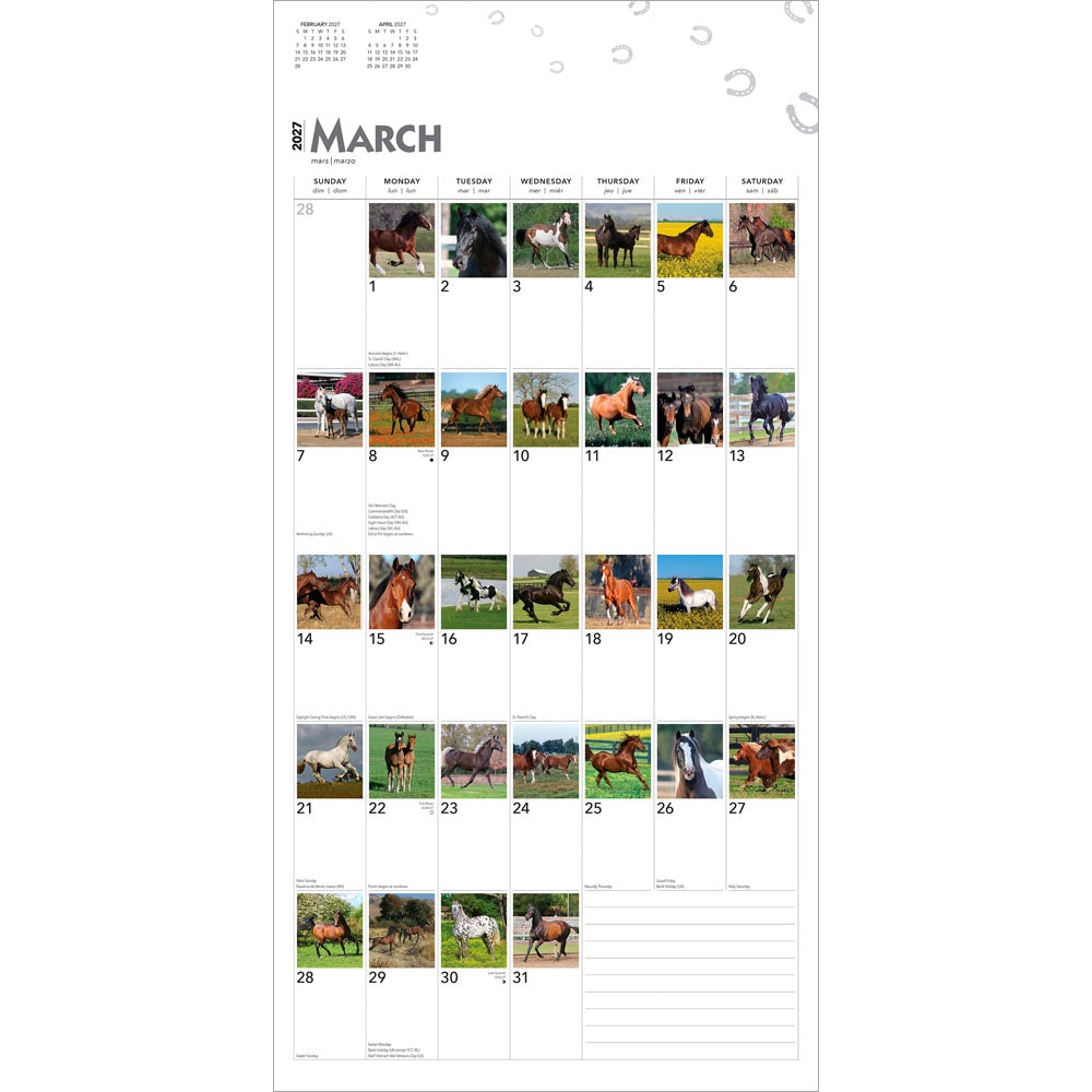 365 Days of Horses | 2027 12 x 24 Inch (Hanging) Monthly Square Wall Calendar