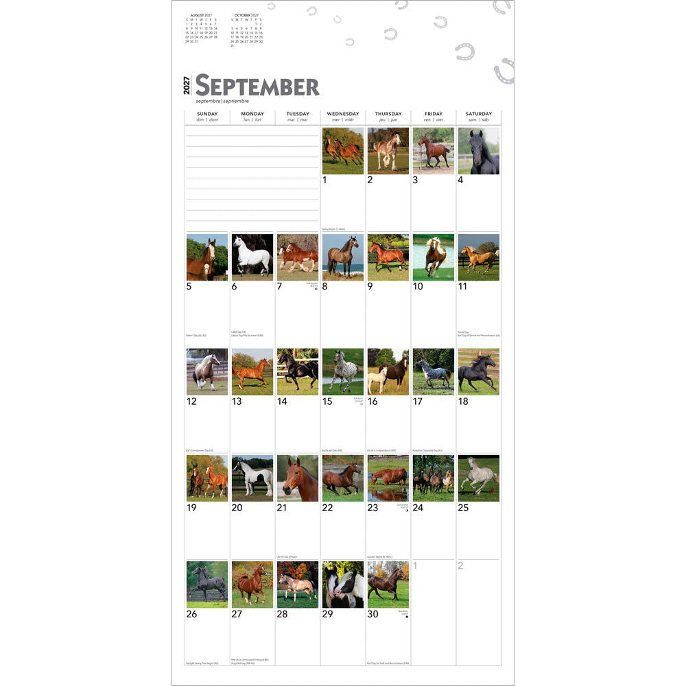 365 Days of Horses | 2027 12 x 24 Inch (Hanging) Monthly Square Wall Calendar