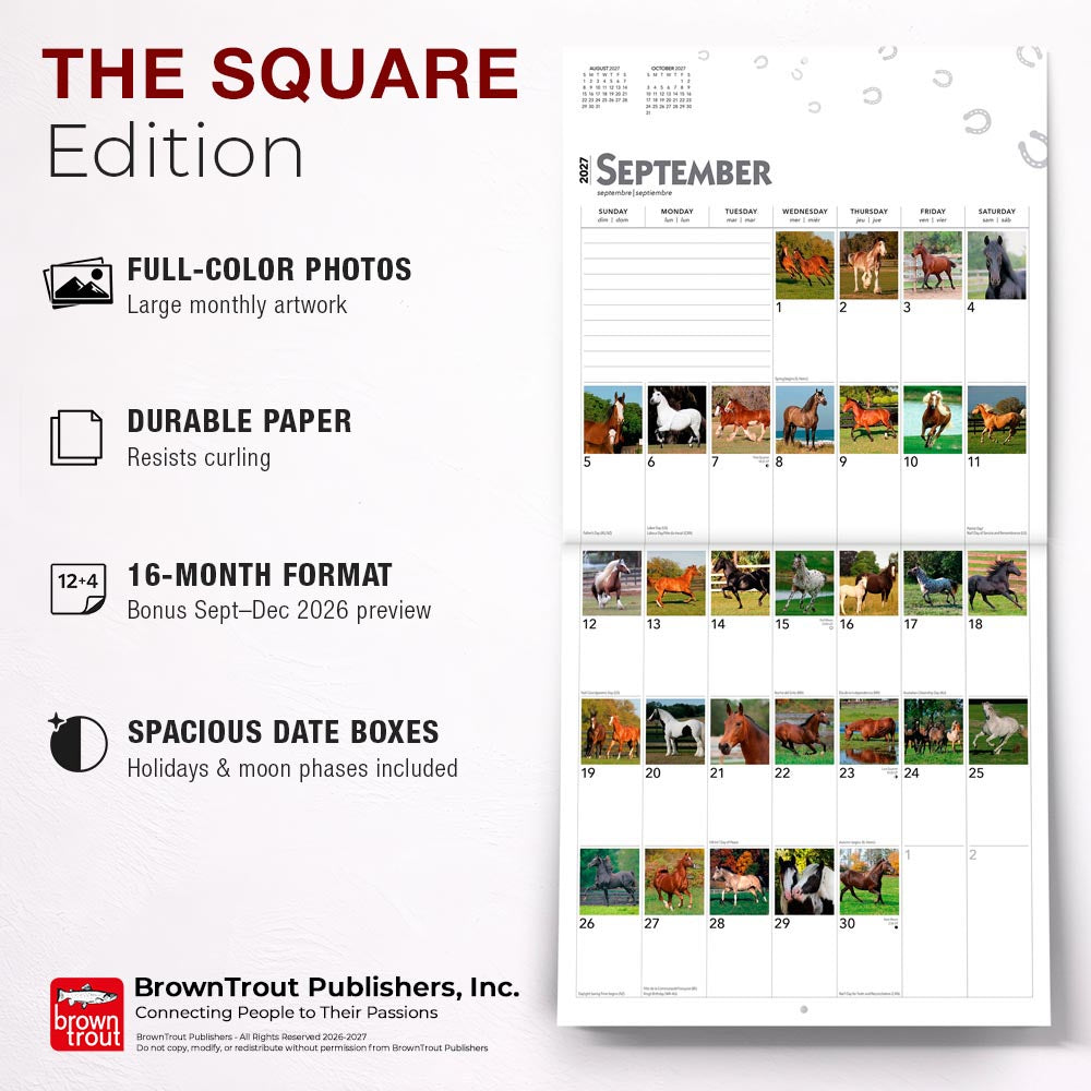 365 Days of Horses | 2027 12 x 24 Inch (Hanging) Monthly Square Wall Calendar