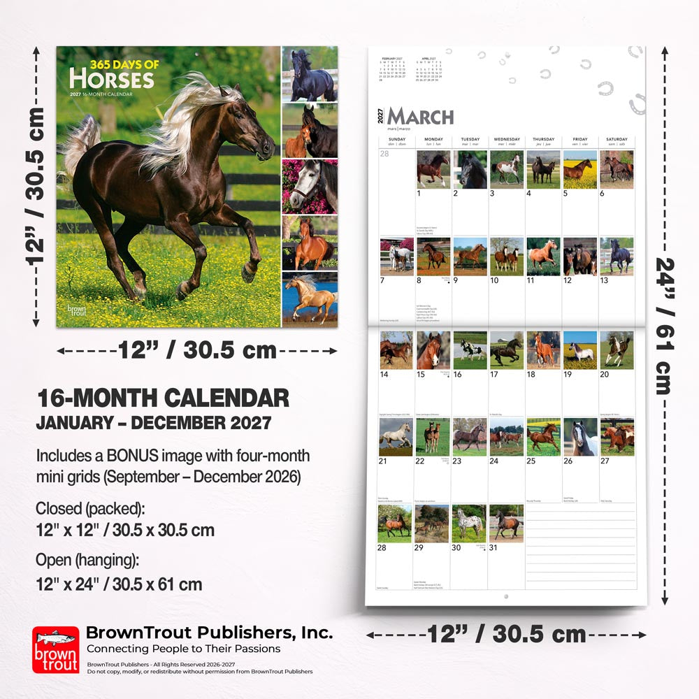365 Days of Horses | 2027 12 x 24 Inch (Hanging) Monthly Square Wall Calendar
