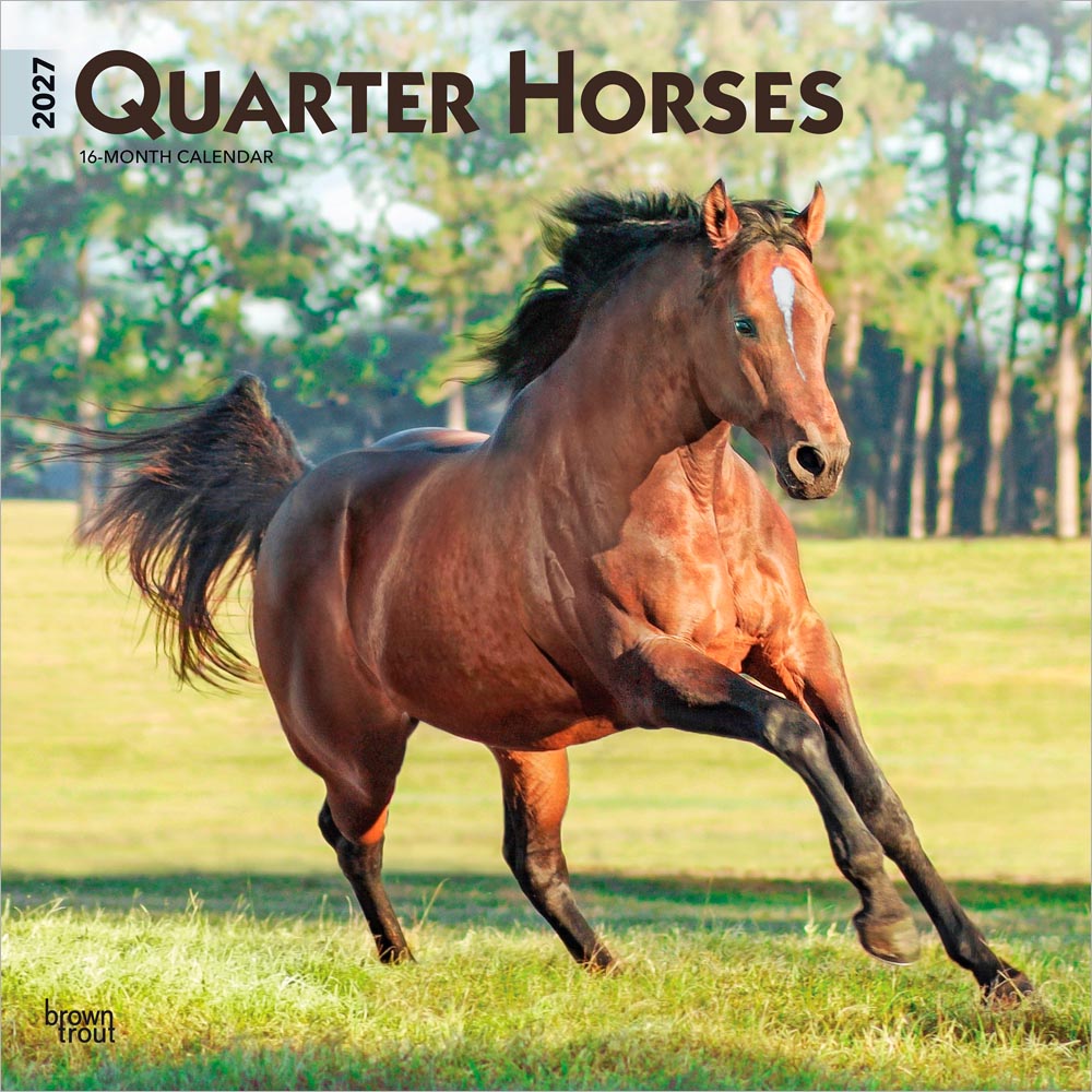 Quarter Horses | 2027 12 x 24 Inch (Hanging) Monthly Square Wall Calendar