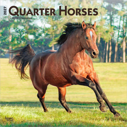Quarter Horses | 2027 12 x 24 Inch (Hanging) Monthly Square Wall Calendar