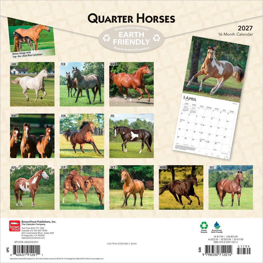 Quarter Horses | 2027 12 x 24 Inch (Hanging) Monthly Square Wall Calendar