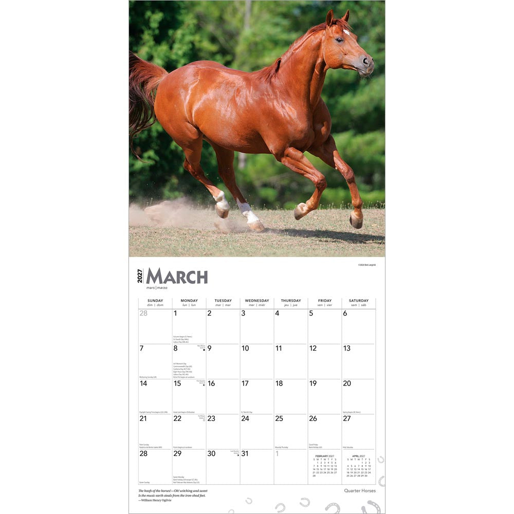 Quarter Horses | 2027 12 x 24 Inch (Hanging) Monthly Square Wall Calendar
