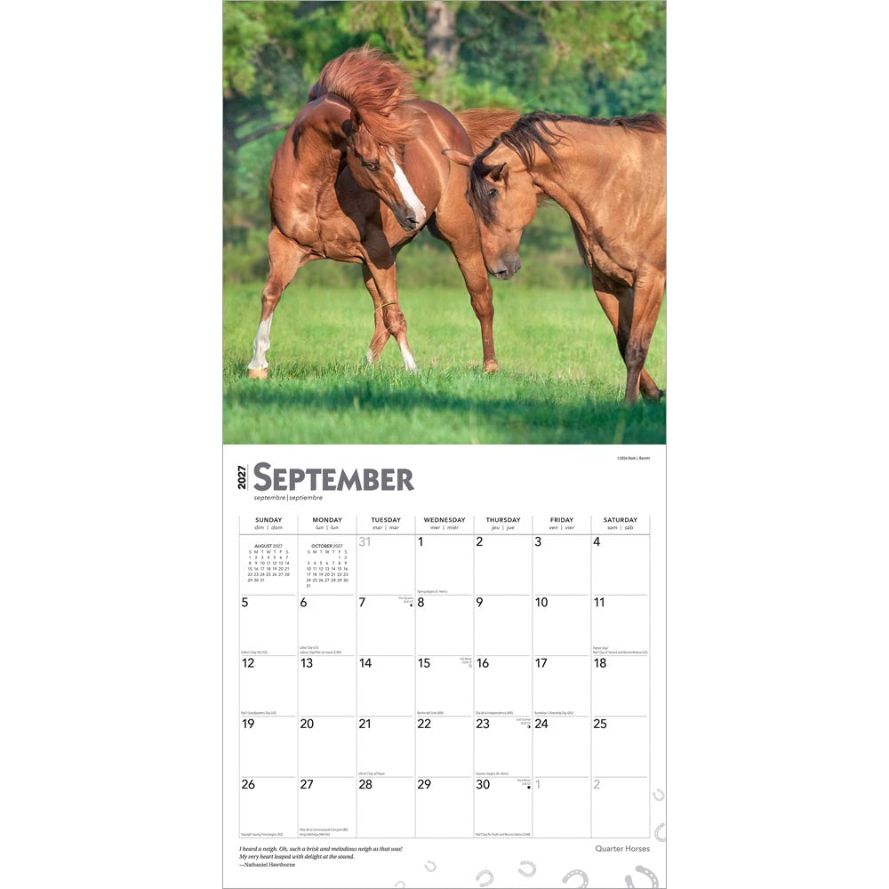 Quarter Horses | 2027 12 x 24 Inch (Hanging) Monthly Square Wall Calendar