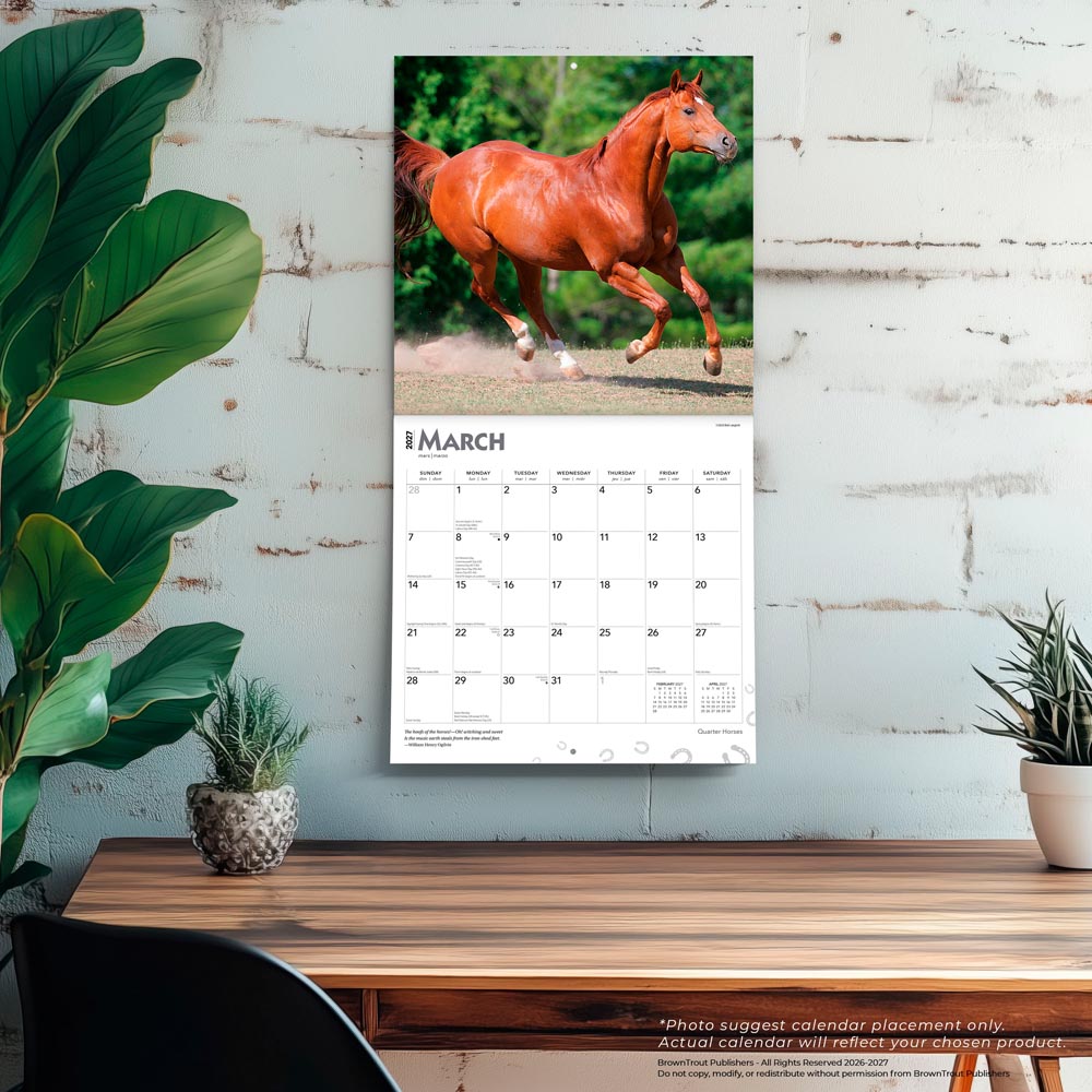 Quarter Horses | 2027 12 x 24 Inch (Hanging) Monthly Square Wall Calendar