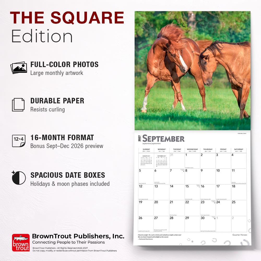 Quarter Horses | 2027 12 x 24 Inch (Hanging) Monthly Square Wall Calendar
