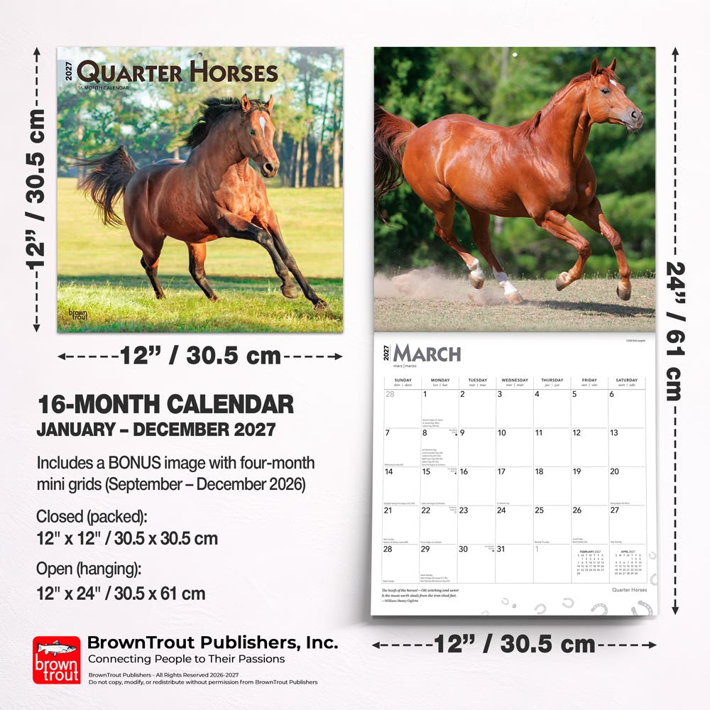 Quarter Horses | 2027 12 x 24 Inch (Hanging) Monthly Square Wall Calendar