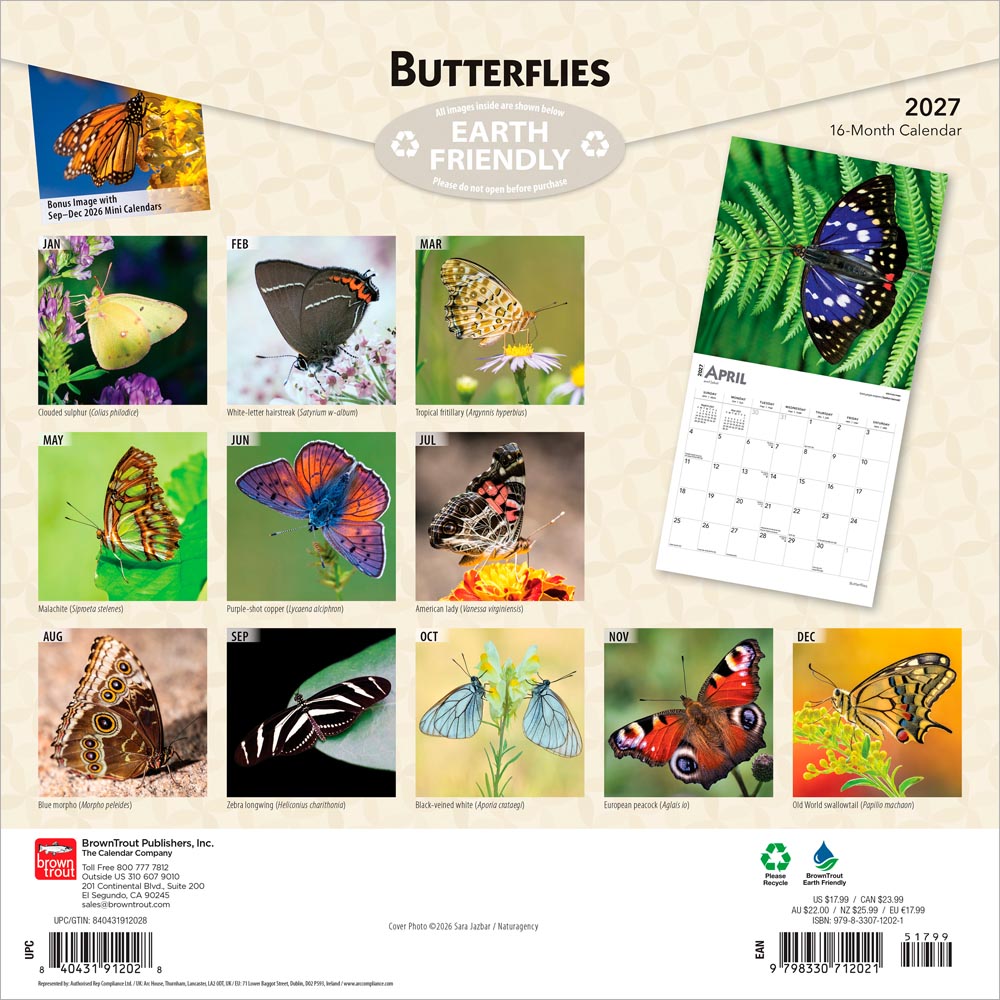 Butterflies | 2027 12 x 24 Inch (Hanging) Monthly Square Wall Calendar