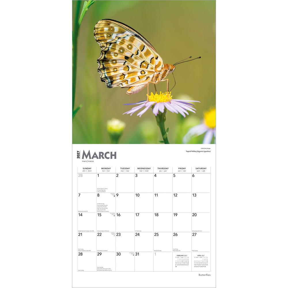 Butterflies | 2027 12 x 24 Inch (Hanging) Monthly Square Wall Calendar
