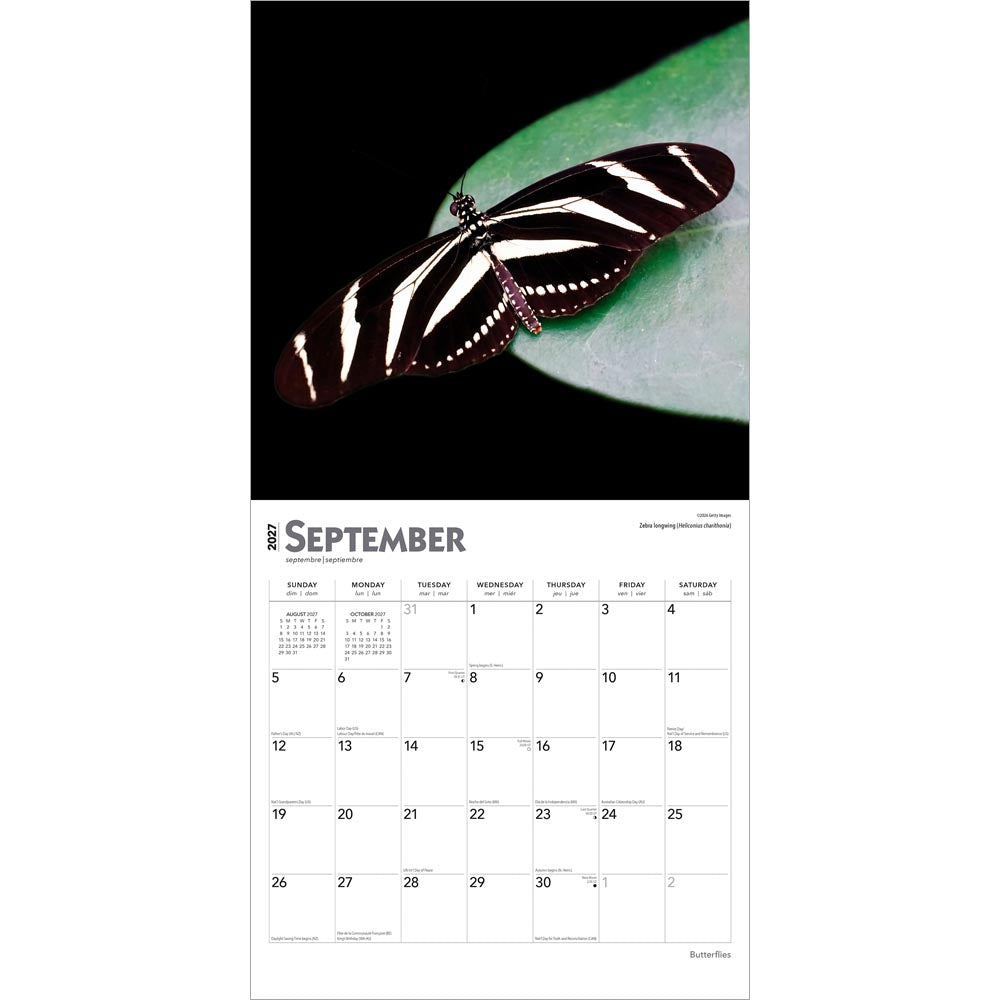 Butterflies | 2027 12 x 24 Inch (Hanging) Monthly Square Wall Calendar