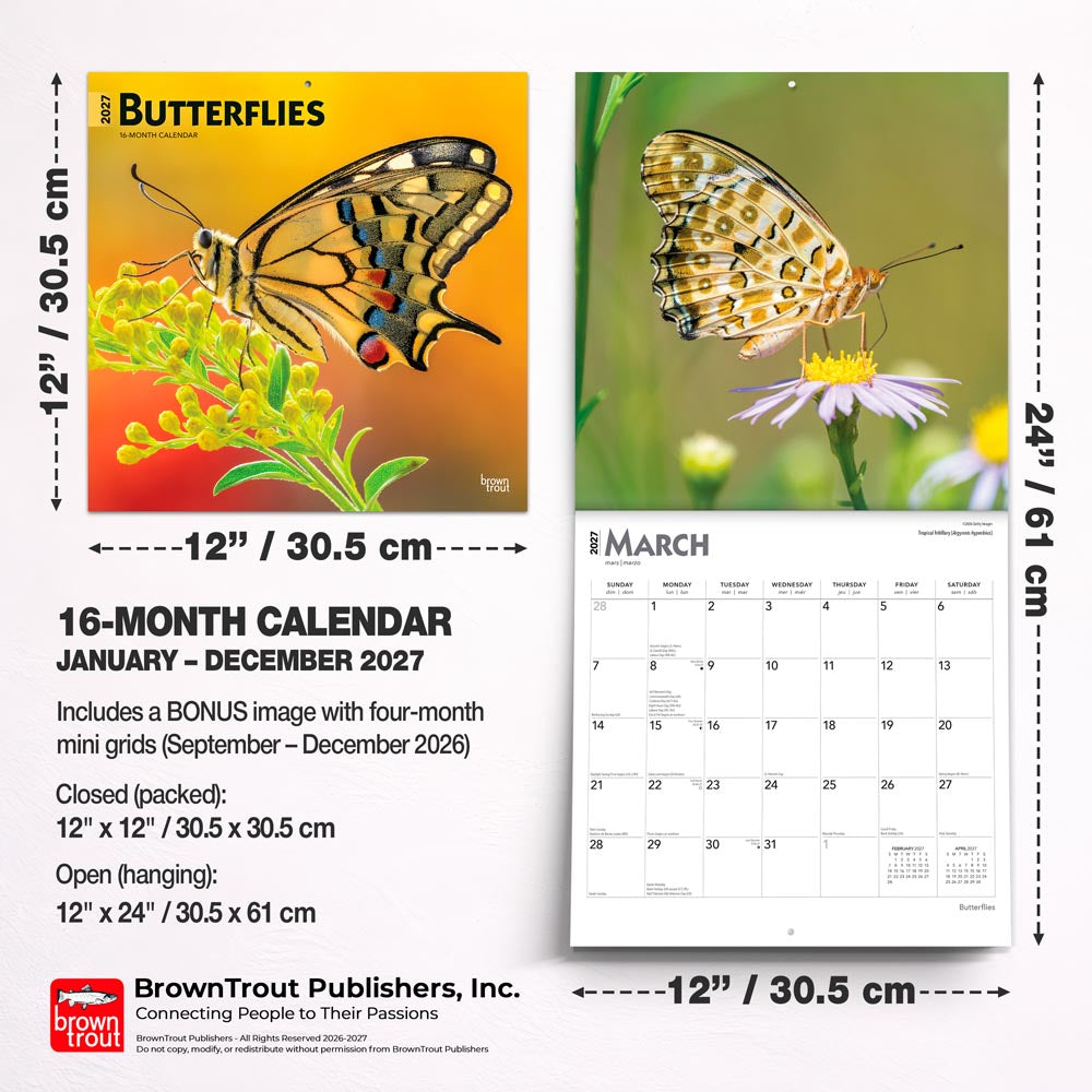 Butterflies | 2027 12 x 24 Inch (Hanging) Monthly Square Wall Calendar