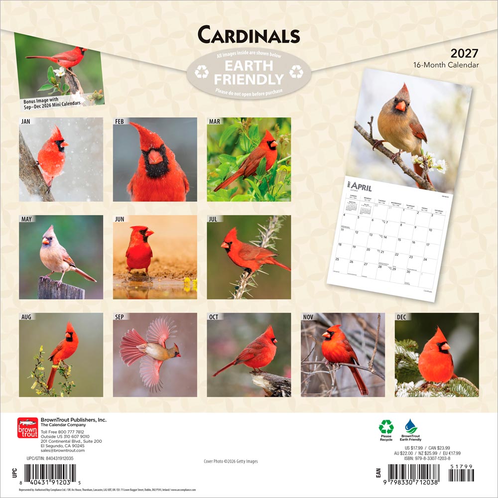 Cardinals | 2027 12 x 24 Inch (Hanging) Monthly Square Wall Calendar