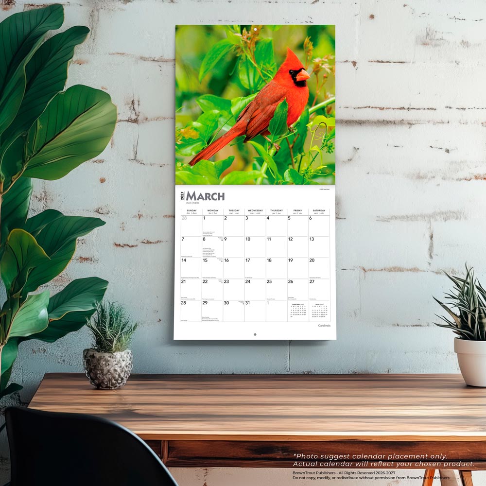 Cardinals | 2027 12 x 24 Inch (Hanging) Monthly Square Wall Calendar