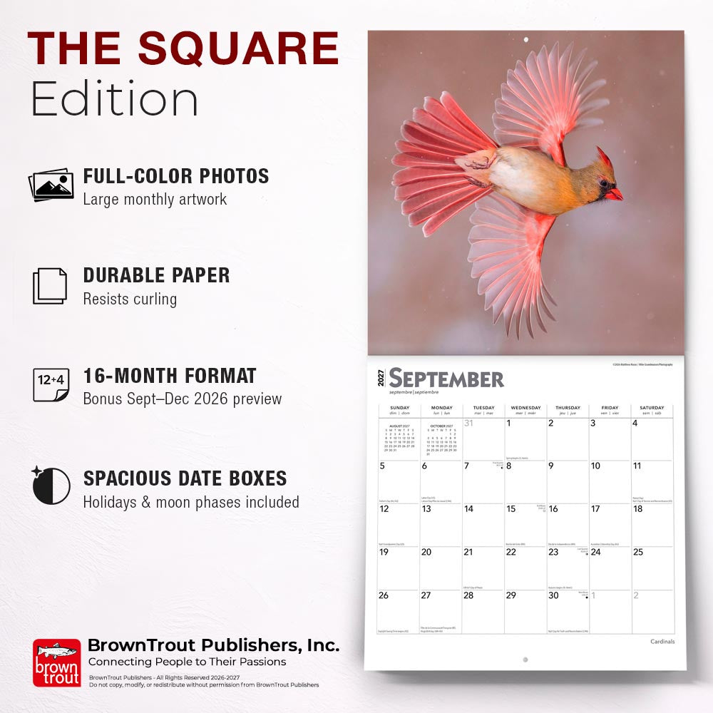 Cardinals | 2027 12 x 24 Inch (Hanging) Monthly Square Wall Calendar