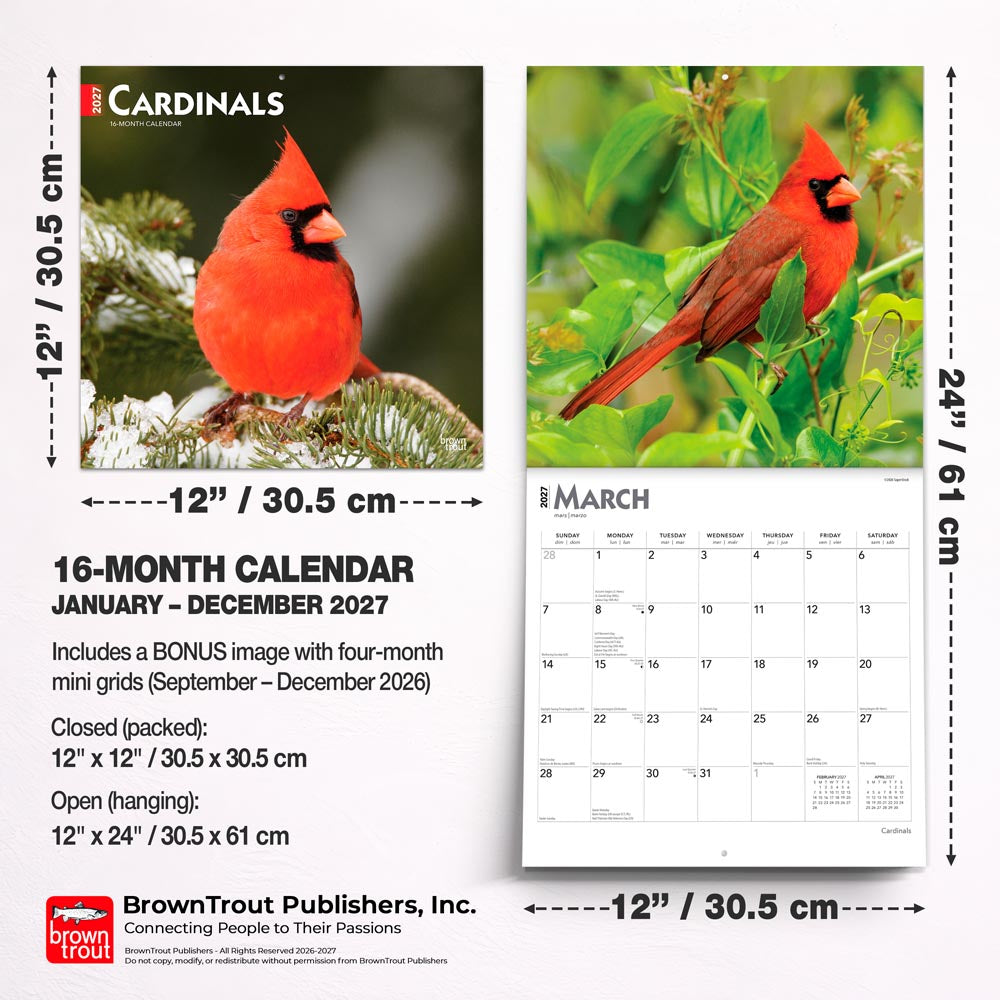 Cardinals | 2027 12 x 24 Inch (Hanging) Monthly Square Wall Calendar