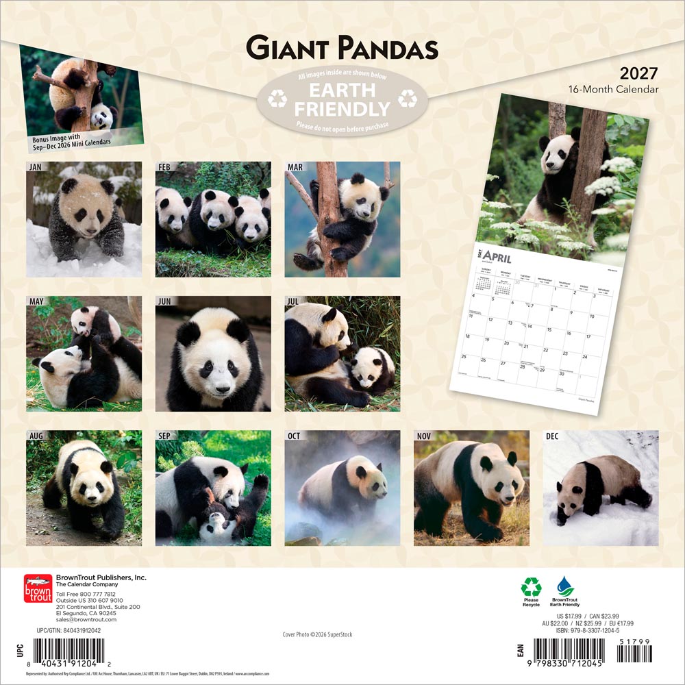 Giant Pandas | 2027 12 x 24 Inch (Hanging) Monthly Square Wall Calendar