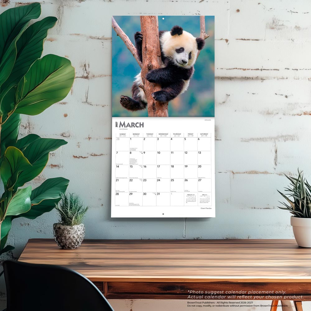 Giant Pandas | 2027 12 x 24 Inch (Hanging) Monthly Square Wall Calendar