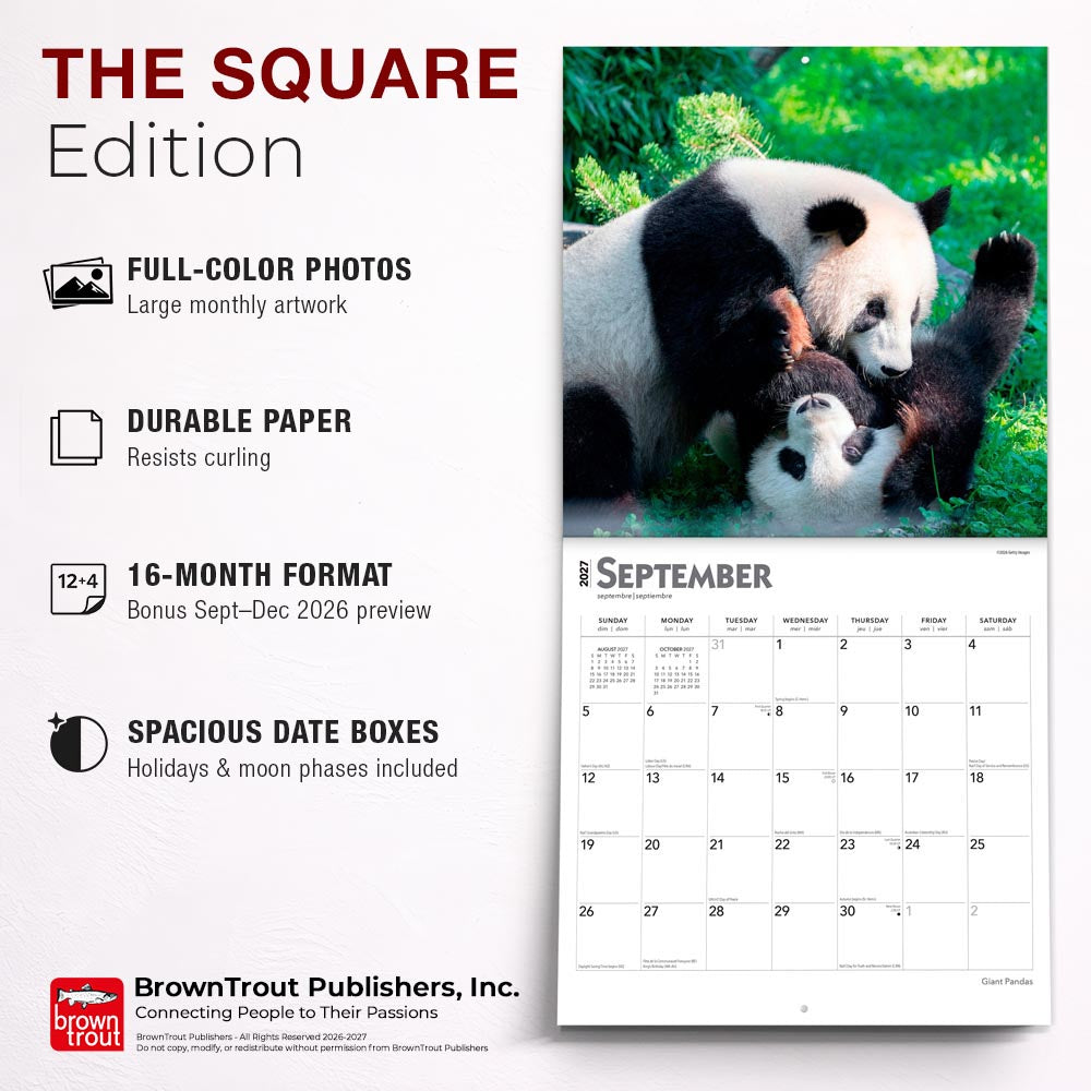 Giant Pandas | 2027 12 x 24 Inch (Hanging) Monthly Square Wall Calendar