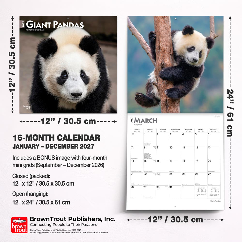 Giant Pandas | 2027 12 x 24 Inch (Hanging) Monthly Square Wall Calendar