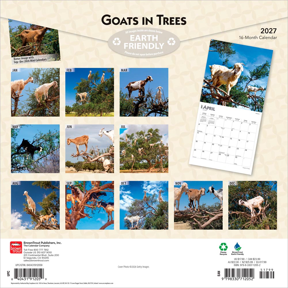 Goats in Trees | 2027 12 x 24 Inch (Hanging) Monthly Square Wall Calendar