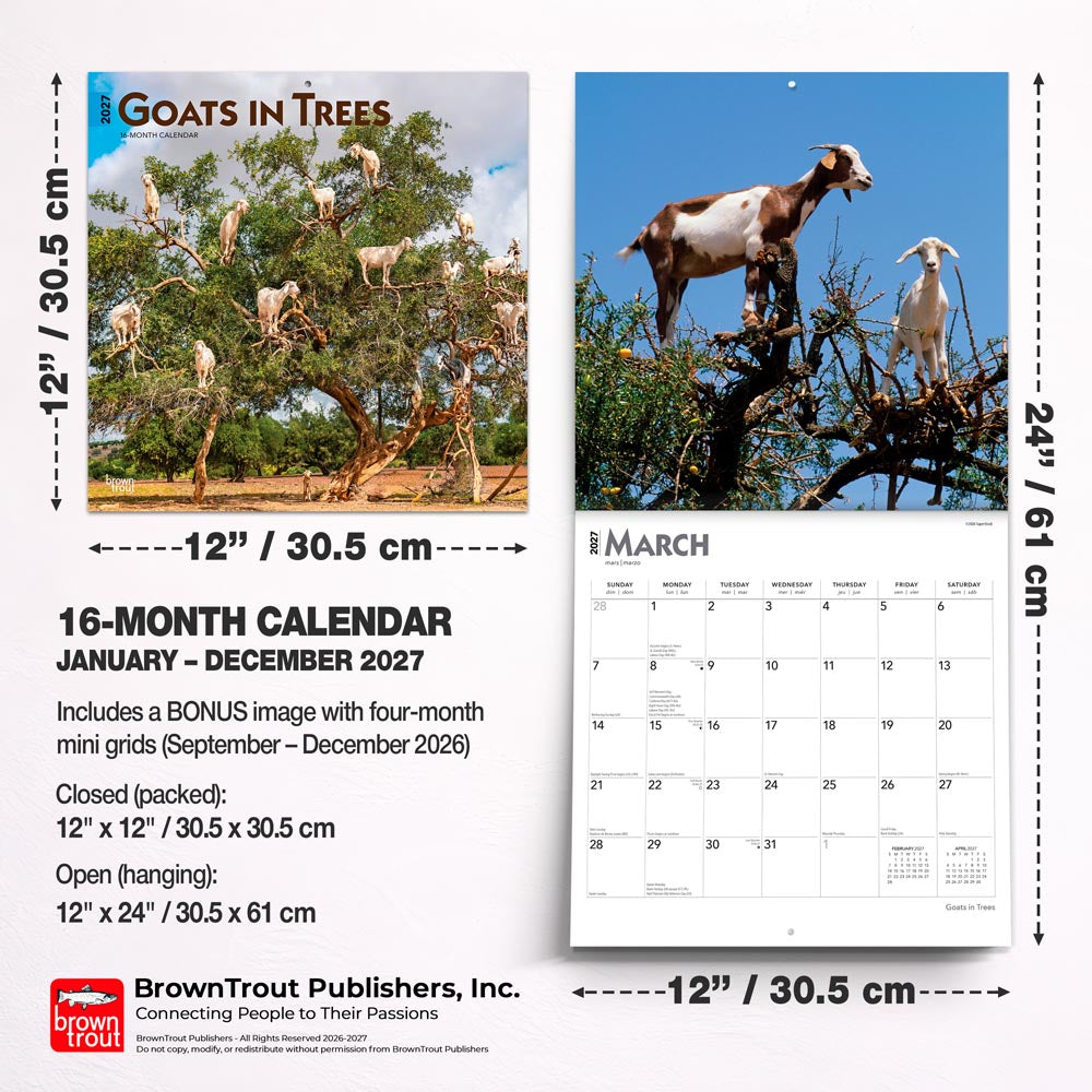 Goats in Trees | 2027 12 x 24 Inch (Hanging) Monthly Square Wall Calendar