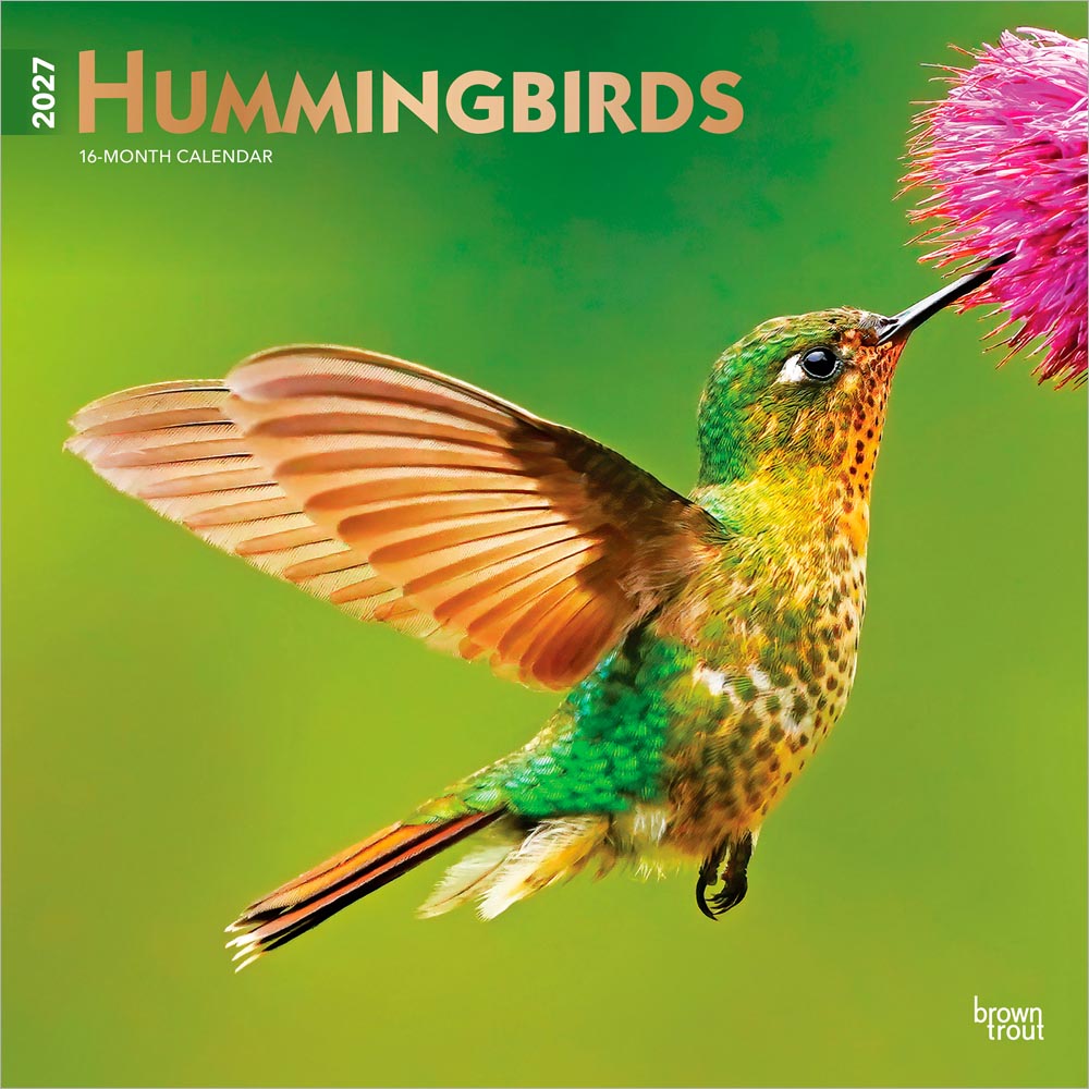 Hummingbirds | 2027 12 x 24 Inch (Hanging) Monthly Square Wall Calendar | Foil Stamped Cover