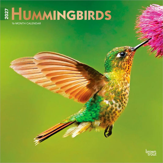 Hummingbirds | 2027 12 x 24 Inch (Hanging) Monthly Square Wall Calendar | Foil Stamped Cover