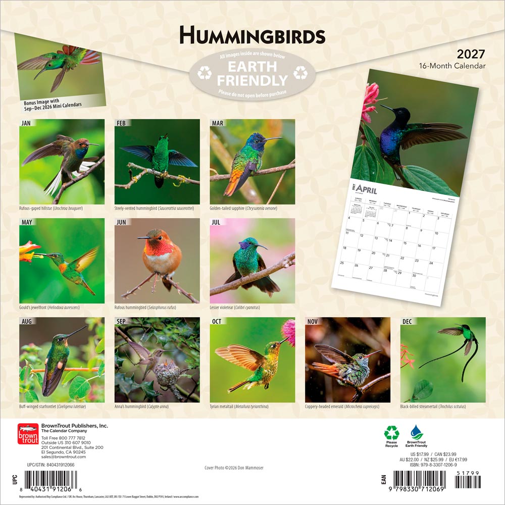 Hummingbirds | 2027 12 x 24 Inch (Hanging) Monthly Square Wall Calendar | Foil Stamped Cover
