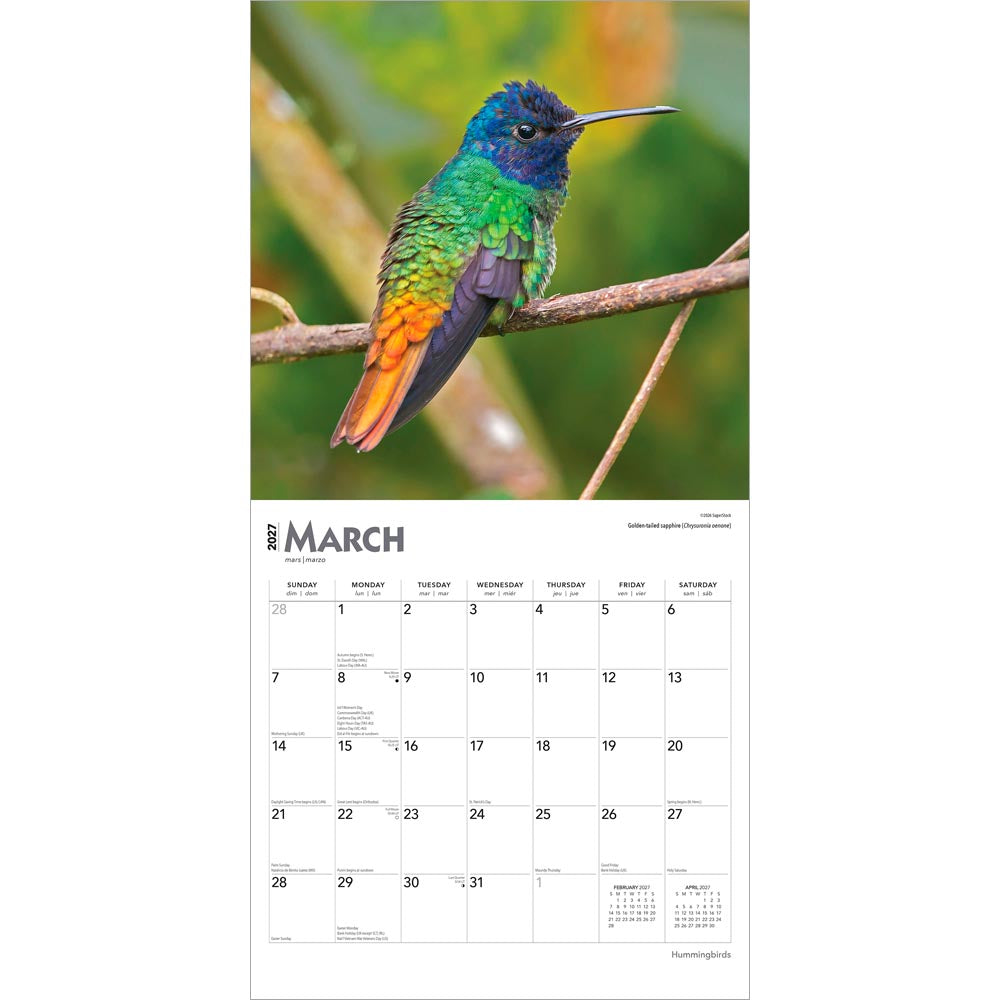 Hummingbirds | 2027 12 x 24 Inch (Hanging) Monthly Square Wall Calendar | Foil Stamped Cover