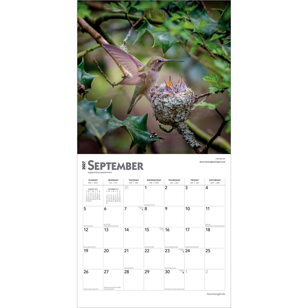 Hummingbirds | 2027 12 x 24 Inch (Hanging) Monthly Square Wall Calendar | Foil Stamped Cover