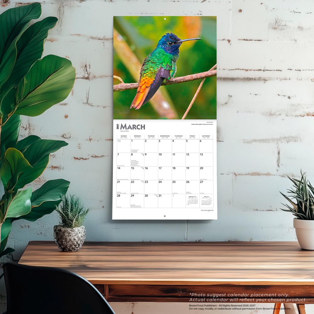 Hummingbirds | 2027 12 x 24 Inch (Hanging) Monthly Square Wall Calendar | Foil Stamped Cover