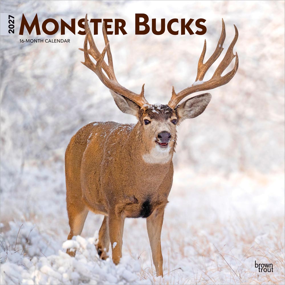 Monster Bucks | 2027 12 x 24 Inch (Hanging) Monthly Square Wall Calendar