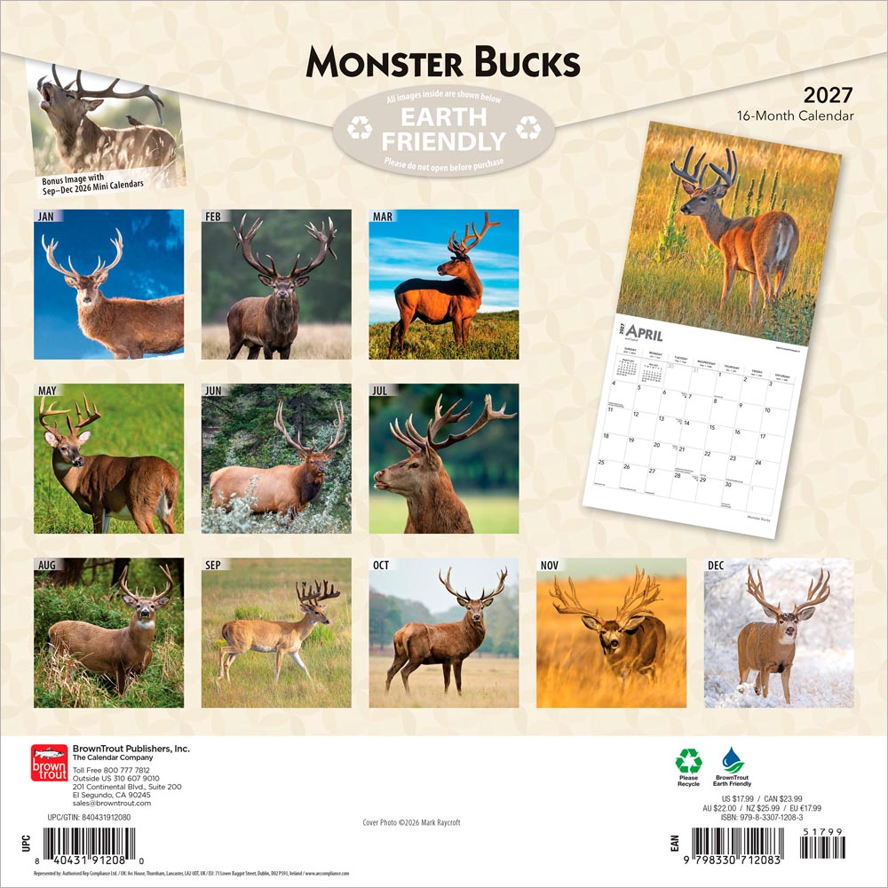 Monster Bucks | 2027 12 x 24 Inch (Hanging) Monthly Square Wall Calendar