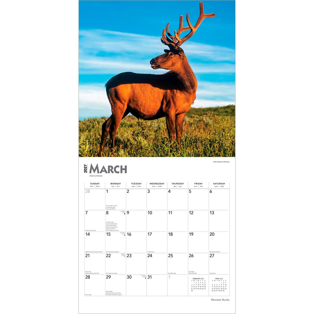 Monster Bucks | 2027 12 x 24 Inch (Hanging) Monthly Square Wall Calendar