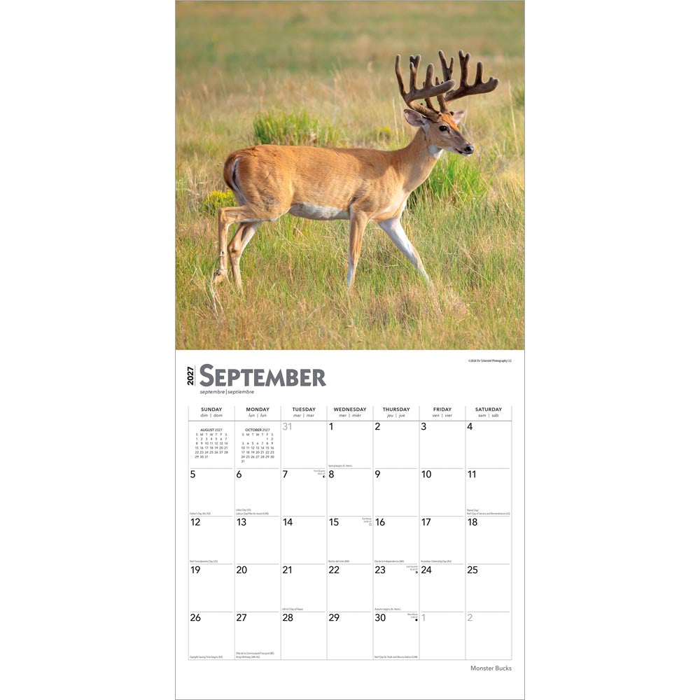 Monster Bucks | 2027 12 x 24 Inch (Hanging) Monthly Square Wall Calendar