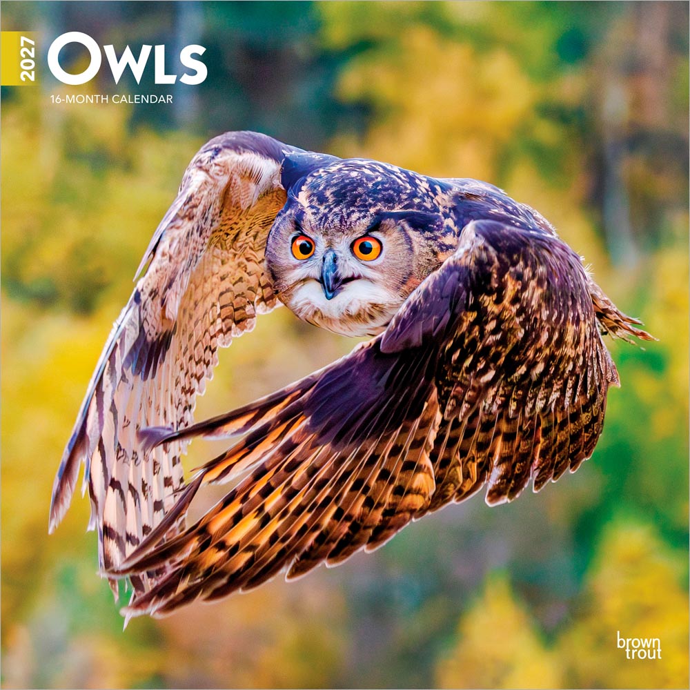 Owls | 2027 12 x 24 Inch (Hanging) Monthly Square Wall Calendar
