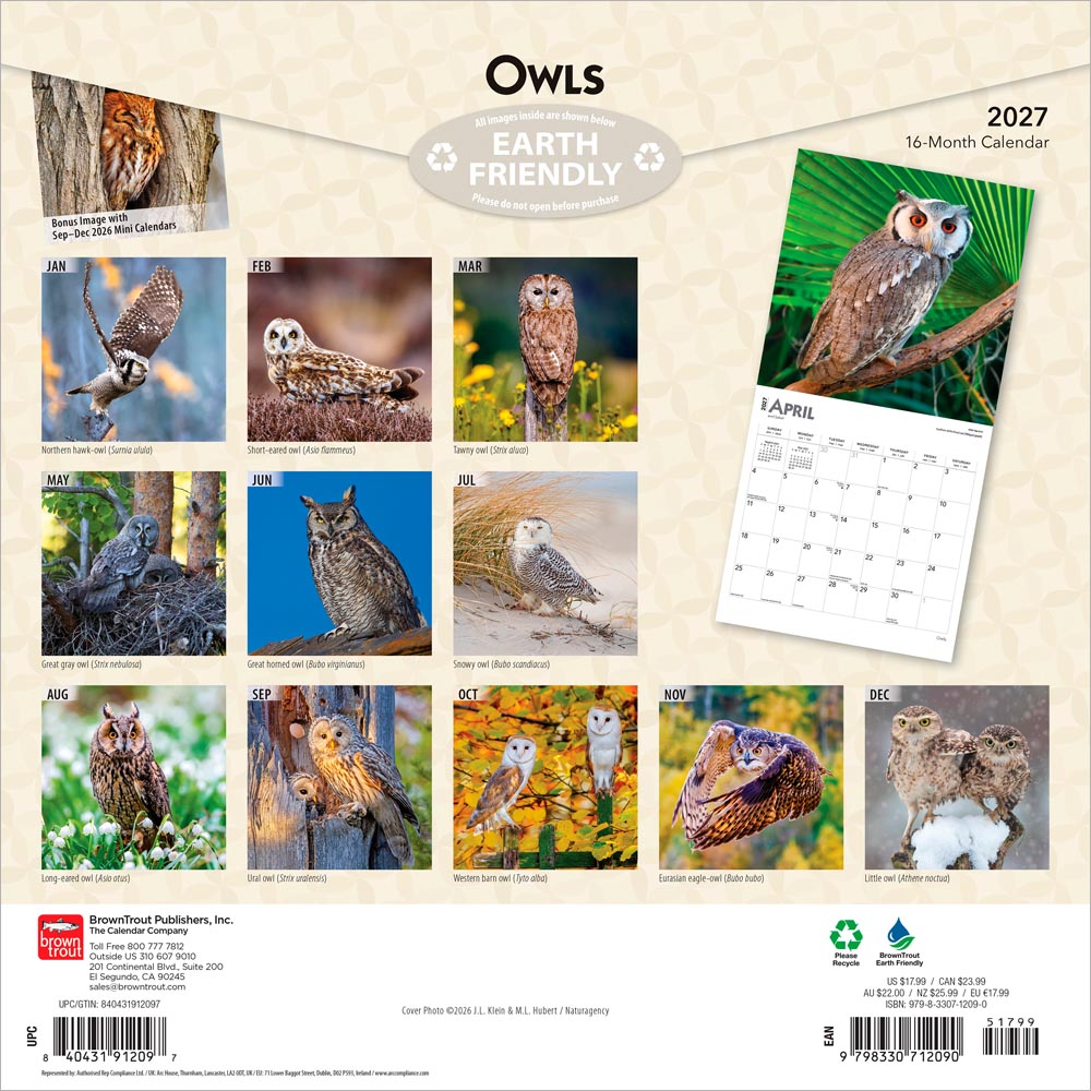 Owls | 2027 12 x 24 Inch (Hanging) Monthly Square Wall Calendar