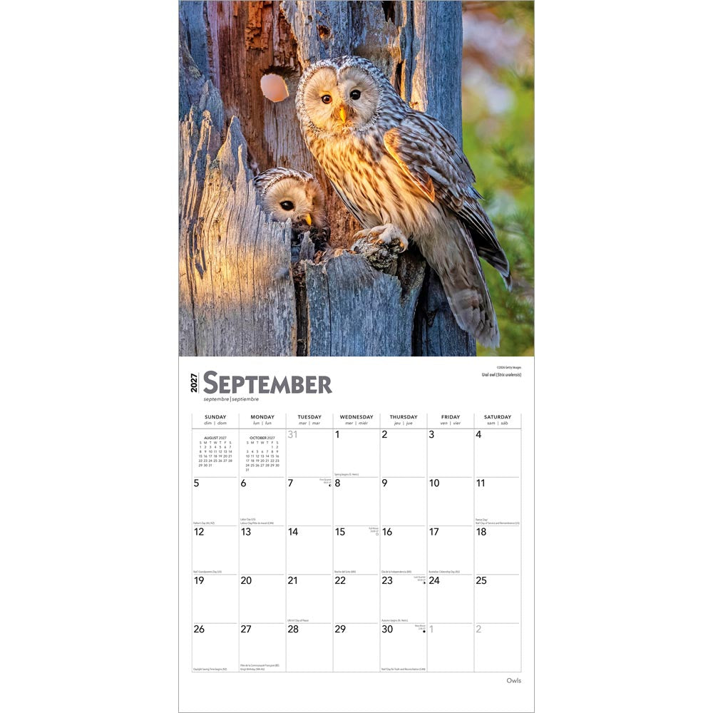 Owls | 2027 12 x 24 Inch (Hanging) Monthly Square Wall Calendar