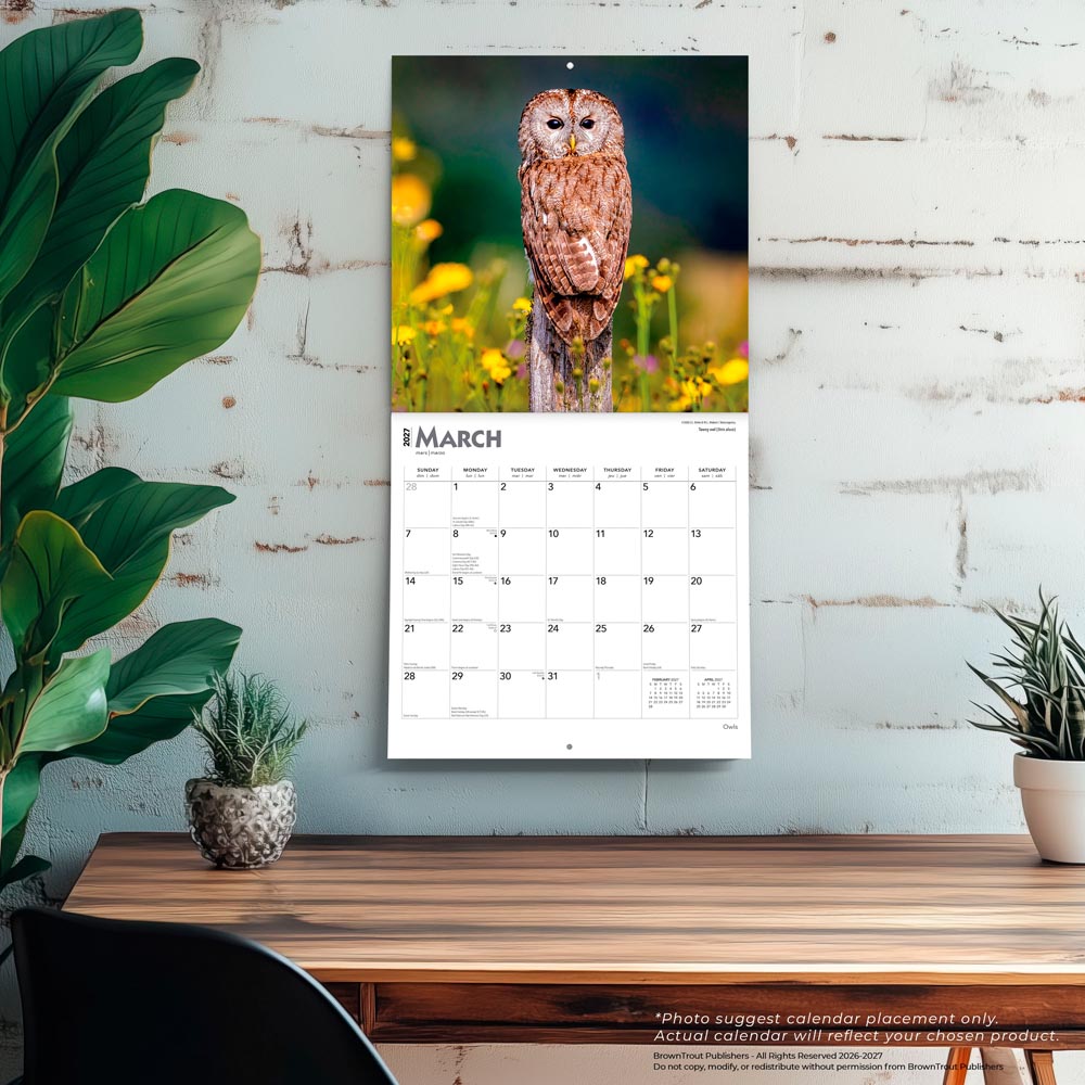 Owls | 2027 12 x 24 Inch (Hanging) Monthly Square Wall Calendar