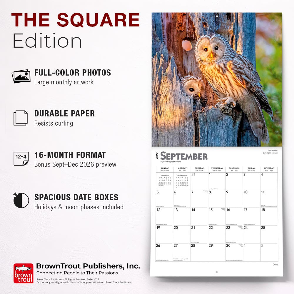 Owls | 2027 12 x 24 Inch (Hanging) Monthly Square Wall Calendar