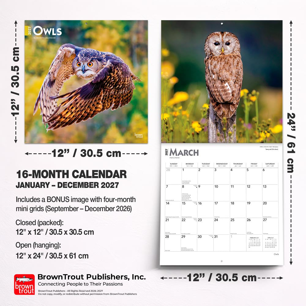 Owls | 2027 12 x 24 Inch (Hanging) Monthly Square Wall Calendar