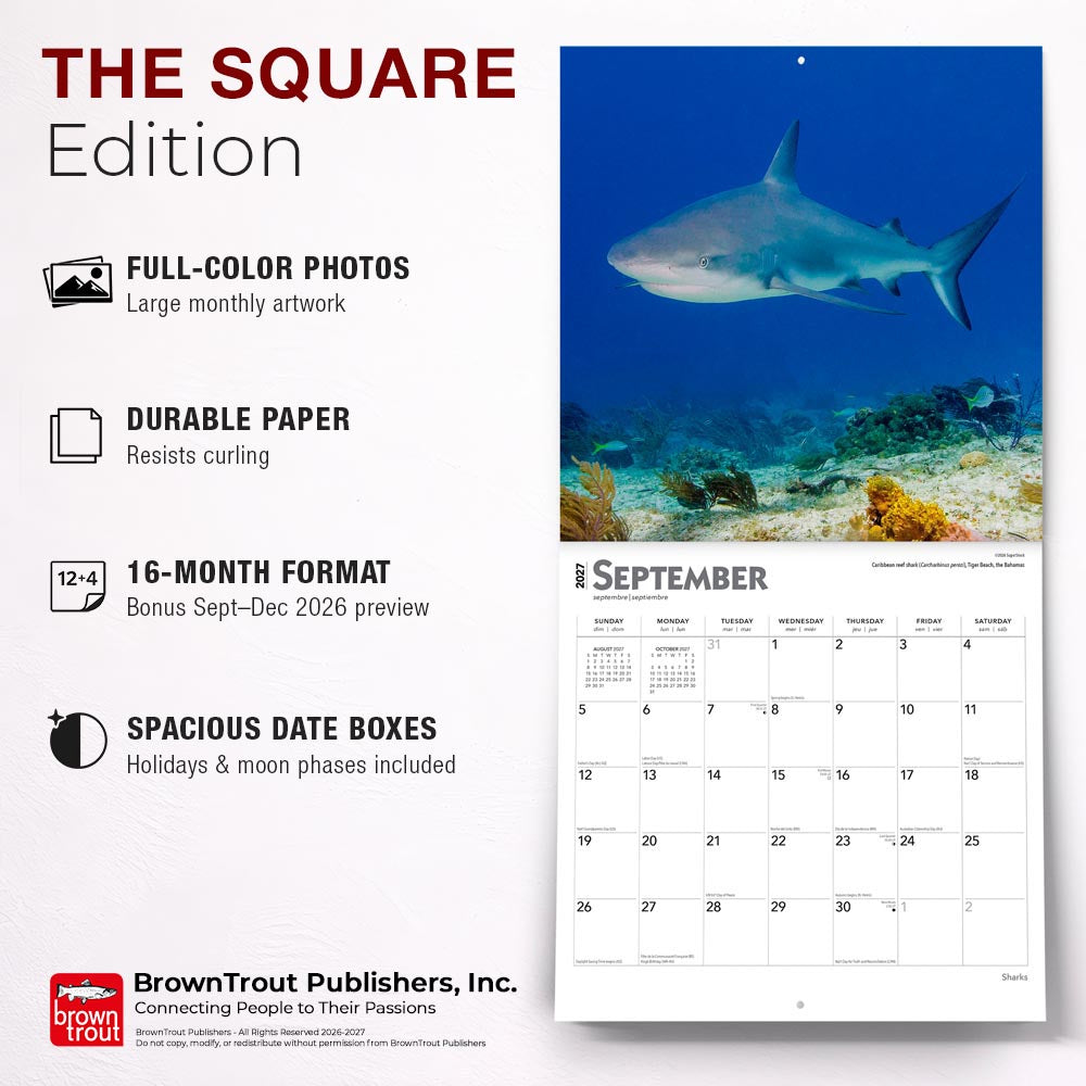 Sharks | 2027 12 x 24 Inch (Hanging) Monthly Square Wall Calendar