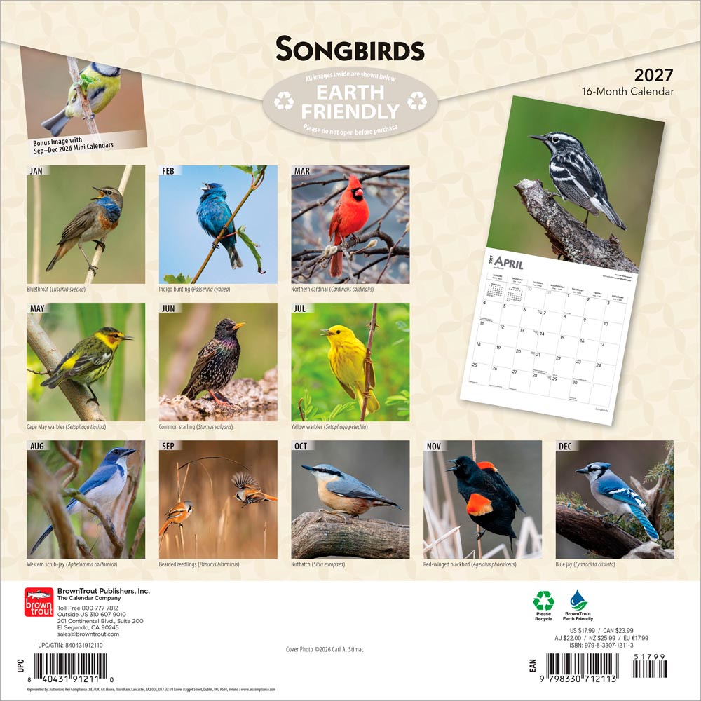 Songbirds | 2027 12 x 24 Inch (Hanging) Monthly Square Wall Calendar | Foil Stamped Cover