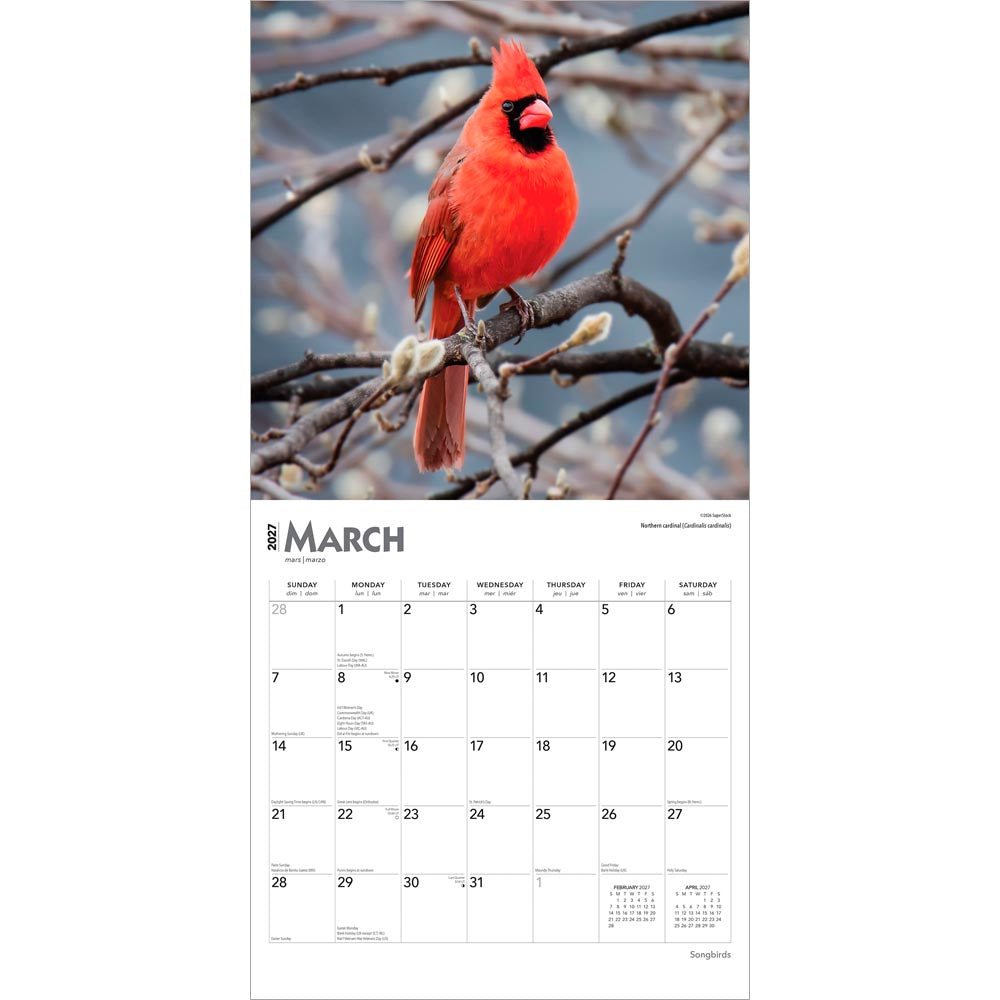 Songbirds | 2027 12 x 24 Inch (Hanging) Monthly Square Wall Calendar | Foil Stamped Cover